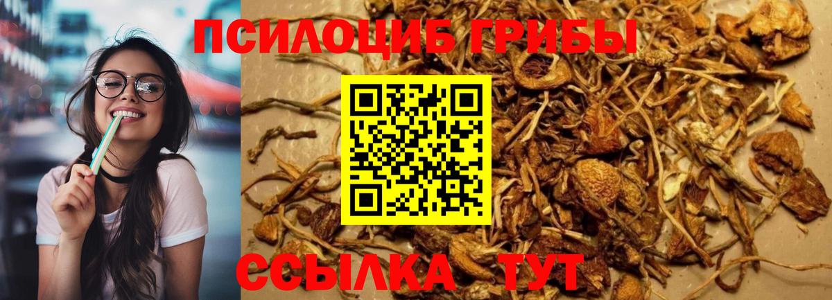 Галлюциногенные грибы ЛСД Унеча